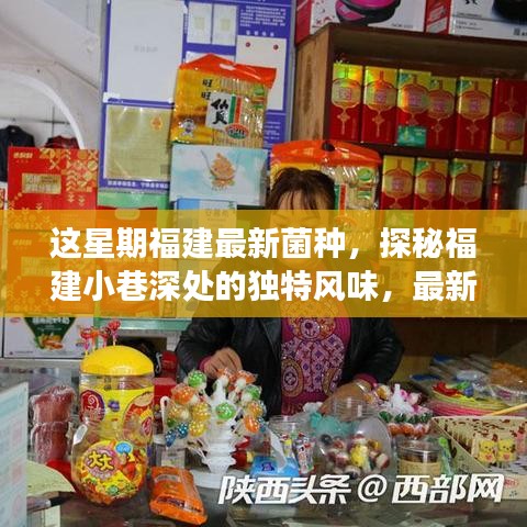 福建小巷深處的獨特風(fēng)味，最新菌種小店之旅探秘記