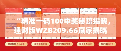 “精準(zhǔn)一碼100中獎秘籍揭曉，理財版WZB209.66贏家揭曉”