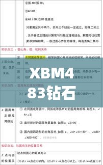 XBM483鉆石版：精準玄機決策資料解析