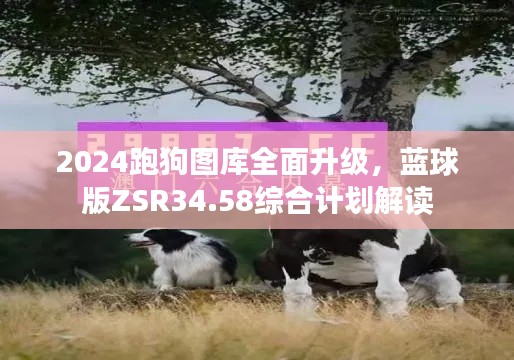 2024跑狗圖庫全面升級，藍(lán)球版ZSR34.58綜合計劃解讀