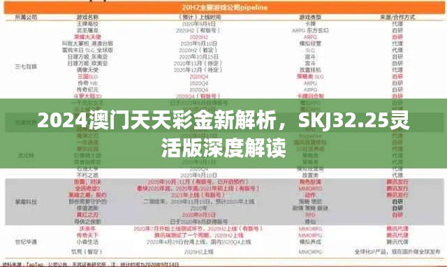 2024澳門天天彩金新解析，SKJ32.25靈活版深度解讀