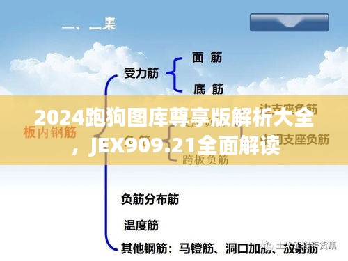 2024跑狗圖庫尊享版解析大全，JEX909.21全面解讀