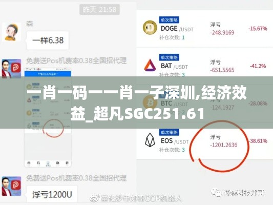 一肖一碼一一肖一子深圳,經濟效益_超凡SGC251.61