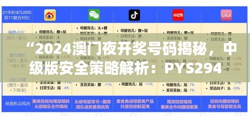 “2024澳門夜開獎號碼揭秘，中級版安全策略解析：PYS294.03”