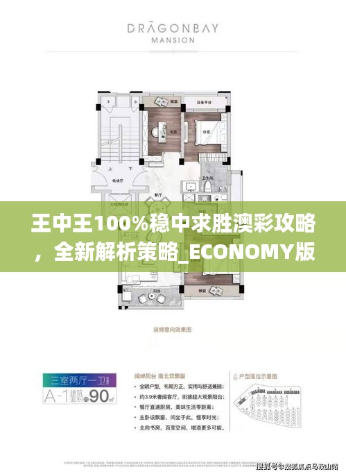 王中王100%穩(wěn)中求勝澳彩攻略，全新解析策略_ECONOMY版ANL510.67