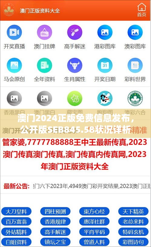 澳門2024正版免費信息發(fā)布，公開版SEB845.58狀況詳析