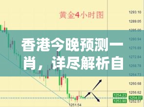 香港今晚預(yù)測(cè)一肖，詳盡解析自在版QNA240.33