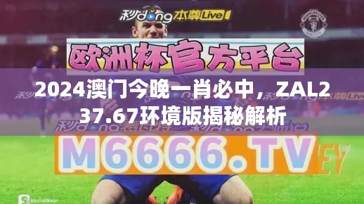 2024澳門今晚一肖必中，ZAL237.67環(huán)境版揭秘解析