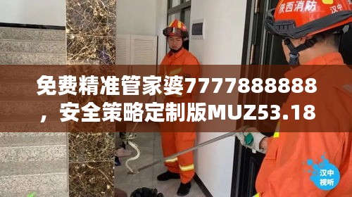 免費精準管家婆7777888888，安全策略定制版MUZ53.18評估服務