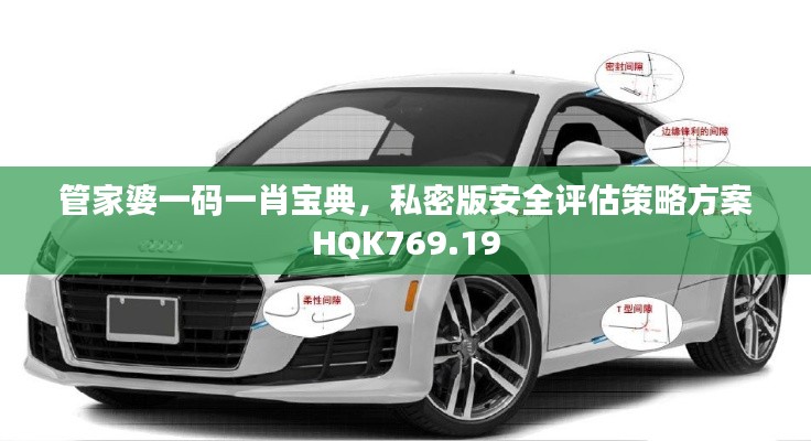 管家婆一碼一肖寶典，私密版安全評估策略方案HQK769.19