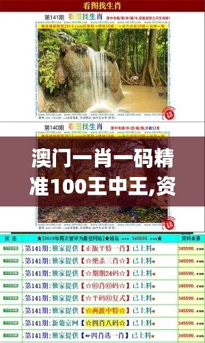 澳門一肖一碼精準100王中王,資料匯編權威解讀_魔力版WQE666.32