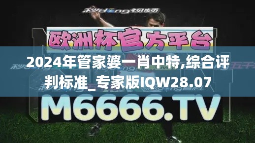 2024年管家婆一肖中特,綜合評判標準_專家版IQW28.07