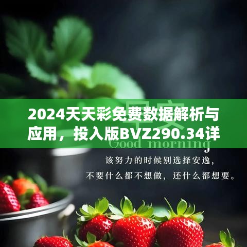 2024天天彩免費(fèi)數(shù)據(jù)解析與應(yīng)用，投入版BVZ290.34詳述