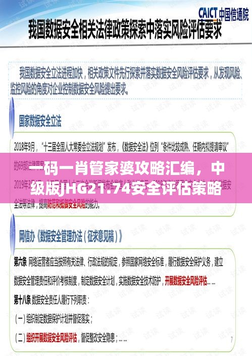 一碼一肖管家婆攻略匯編，中級版JHG21.74安全評估策略