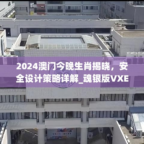 2024澳門今晚生肖揭曉，安全設(shè)計(jì)策略詳解_魂銀版VXE642.92