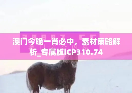 澳門(mén)今晚一肖必中，素材策略解析_專(zhuān)屬版ICP310.74