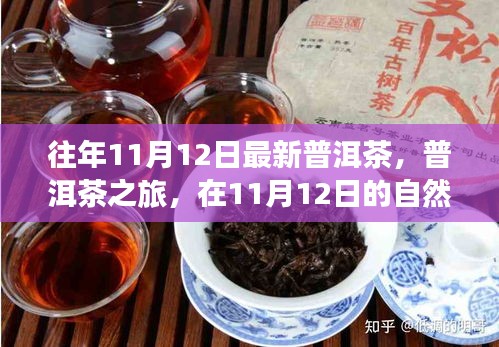 普洱茶之旅，在11月12日的自然懷抱中品味靜心之茶，探尋最新普洱茶的魅力