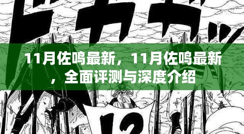 11月佐鳴最新，全面評(píng)測(cè)與深度介紹