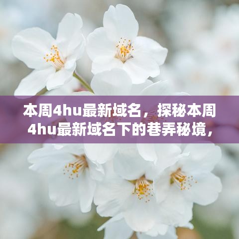 探秘本周4hu最新域名下的巷弄秘境，隱藏小店獨特環(huán)境大揭秘