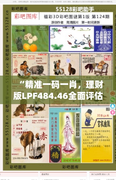 “精準一碼一肖，理財版LPF484.46全面評估”