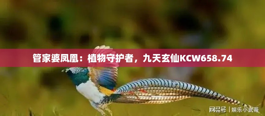 管家婆鳳凰：植物守護(hù)者，九天玄仙KCW658.74