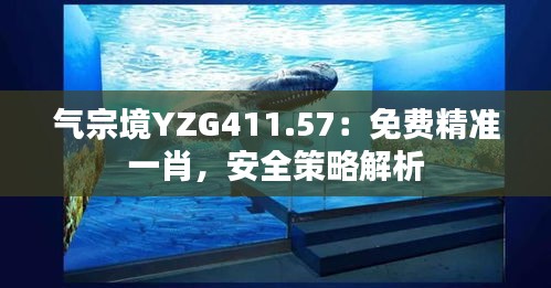 氣宗境YZG411.57：免費(fèi)精準(zhǔn)一肖，安全策略解析