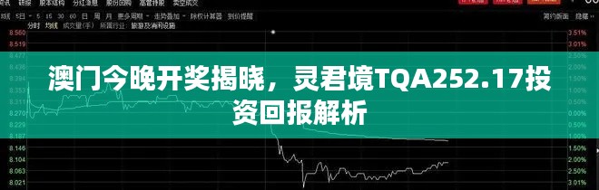 澳門今晚開獎揭曉，靈君境TQA252.17投資回報解析