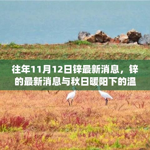 秋日暖陽下的鋅情，最新鋅消息與溫情故事回顧