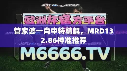 管家婆一肖中特精解，MRD132.86神準(zhǔn)推薦