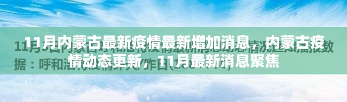 內(nèi)蒙古11月疫情最新動態(tài)，最新增加消息與聚焦