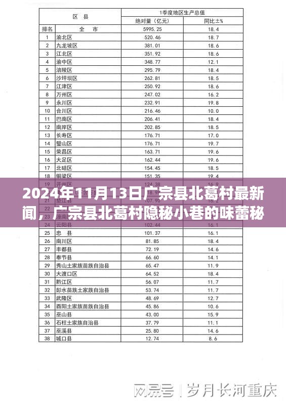 廣宗縣北葛村隱秘小巷的美食秘境，最新探秘之旅（2024年11月13日）