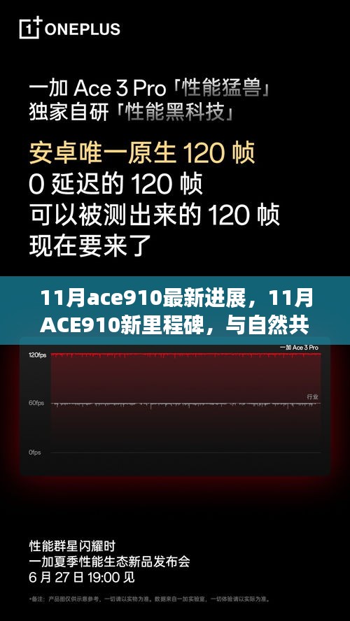 ACE910新里程碑，與自然共舞的心靈靜謐之旅（11月最新進(jìn)展）