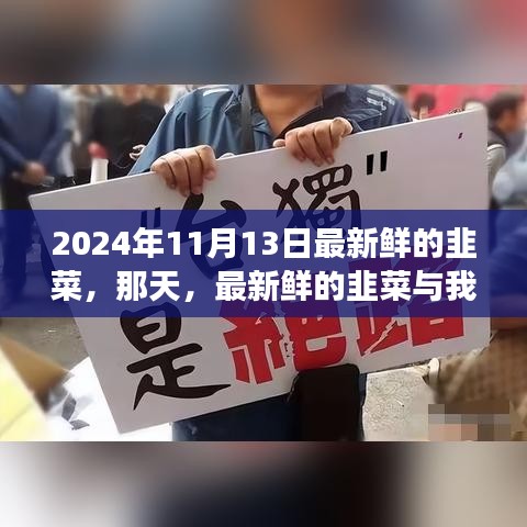 新鮮韭菜與溫馨故事，2024年11月13日的邂逅