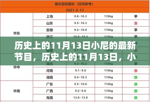 小尼最新節(jié)目深度解析，歷史上的十一月十三日