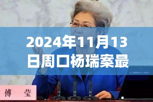 楊瑞案背后的故事，變化的力量與自信的重生最新進(jìn)展，周口楊瑞案深度剖析（2024年11月13日）