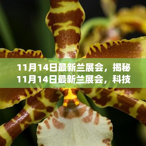 揭秘最新蘭展會，科技革新引領(lǐng)未來生活風(fēng)采展盛大開幕