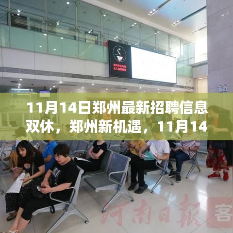 鄭州最新招聘信息揭秘，學(xué)習(xí)與成長(zhǎng)之旅，雙休路上的自信與成就感