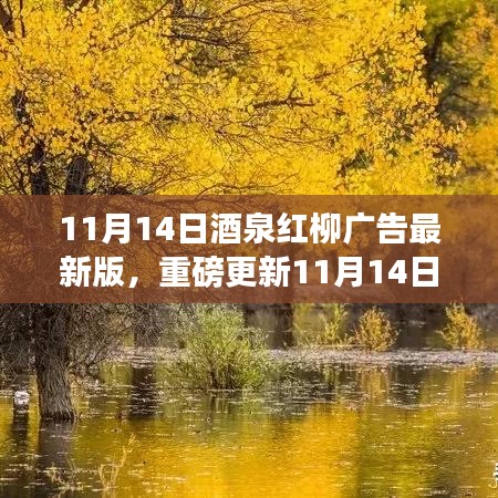 11月14日酒泉紅柳廣告最新版，重磅更新，精彩紛呈