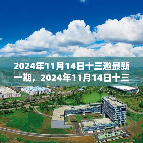 聚焦觀點之爭，深度解析2024年最新一期十三邀