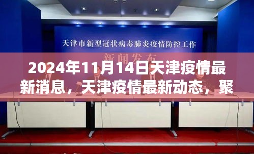 2024年11月14日天津疫情最新動態(tài)與消息聚焦