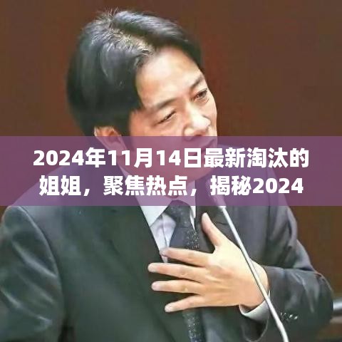 揭秘，2024年11月14日最新淘汰的姐姐背后的故事與熱點聚焦