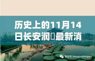 長安潤璟秘境探索，歷史與美食的碰撞時刻，最新消息揭秘秘密小店