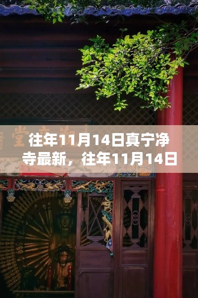 往年11月14日真寧凈寺探訪攻略，領(lǐng)略古寺魅力，最新指南全解析