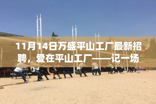 愛在平山工廠，最新招聘與求職之旅啟程