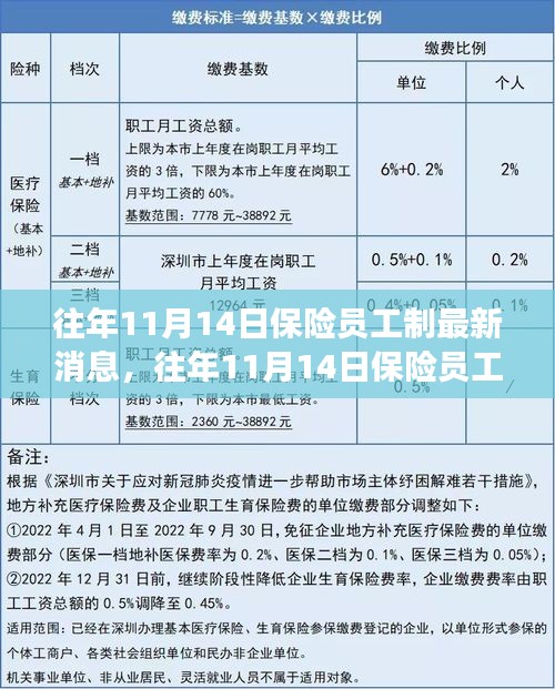 三大要點(diǎn)深度解讀，往年11月14日保險(xiǎn)員工制最新消息與更新解讀