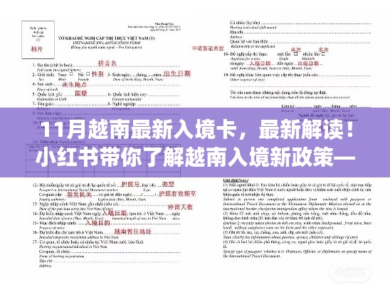 小紅書解讀，最新越南入境卡詳解及新政策解析