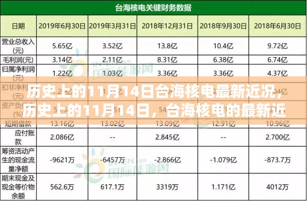 歷史上的11月14日，臺海核電的最新近況及其影響分析概覽