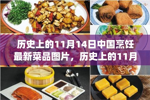 11月14日中國(guó)烹飪新菜品圖片展示，歷史菜品深度評(píng)測(cè)與介紹