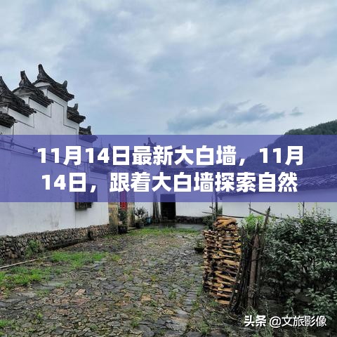 11月14日大白墻引領(lǐng)自然秘境之旅，探索內(nèi)心寧?kù)o與平和的奧秘