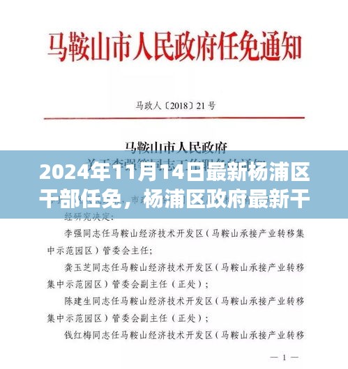 楊浦區(qū)政府最新干部任免動態(tài)，聚焦新任干部及未來展望（更新至2024年）